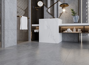 Muestra gratis de azulejos de porcelana esmaltada mate de diseño moderno gris claro 600x600 estilo de aspecto de piedra de Vietnam - Product Image 2