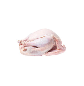 Frozen Whole <b>Chicken</b> Premium Grade Bulk Supply Wholesale for Global Food Markets - Product Image 1