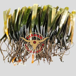 งานฝีมือของสะสมศิลปะแนวชนบทขัดเงาทนทานรูปควายเขาธรรมชาติ - Product Image 6