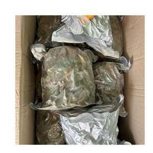 Organic Soursop Leaves Dried for <b>Tea</b> Bulk Export Graviola Leaves Wholesale Supplier Vietnam Premium Herbal Product - Product Image 4