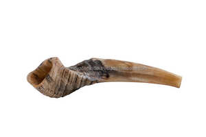 Shofar kosher kudu de Israel, Ángel tallado medio pulido, estilo religioso - Product Image 3