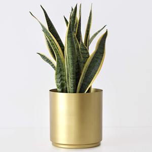 Maceta Decorativa de Metal, Jardinera de Hierro para Plantas de Interior y Exterior, Decoración para Jardín, Balcón y Hogar - Product Image 6