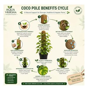 Poteau en coco naturel de 5 pieds (60 pouces) en fibre de coco pour plantes grimpantes - Product Image 4