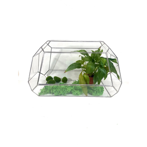 Handmade <b>Clear</b> Glass Plant Box Decorative Black Metal Hanging Terrarium Glass Planter & Candle Holder Home Garden Decoration - Product Image 4