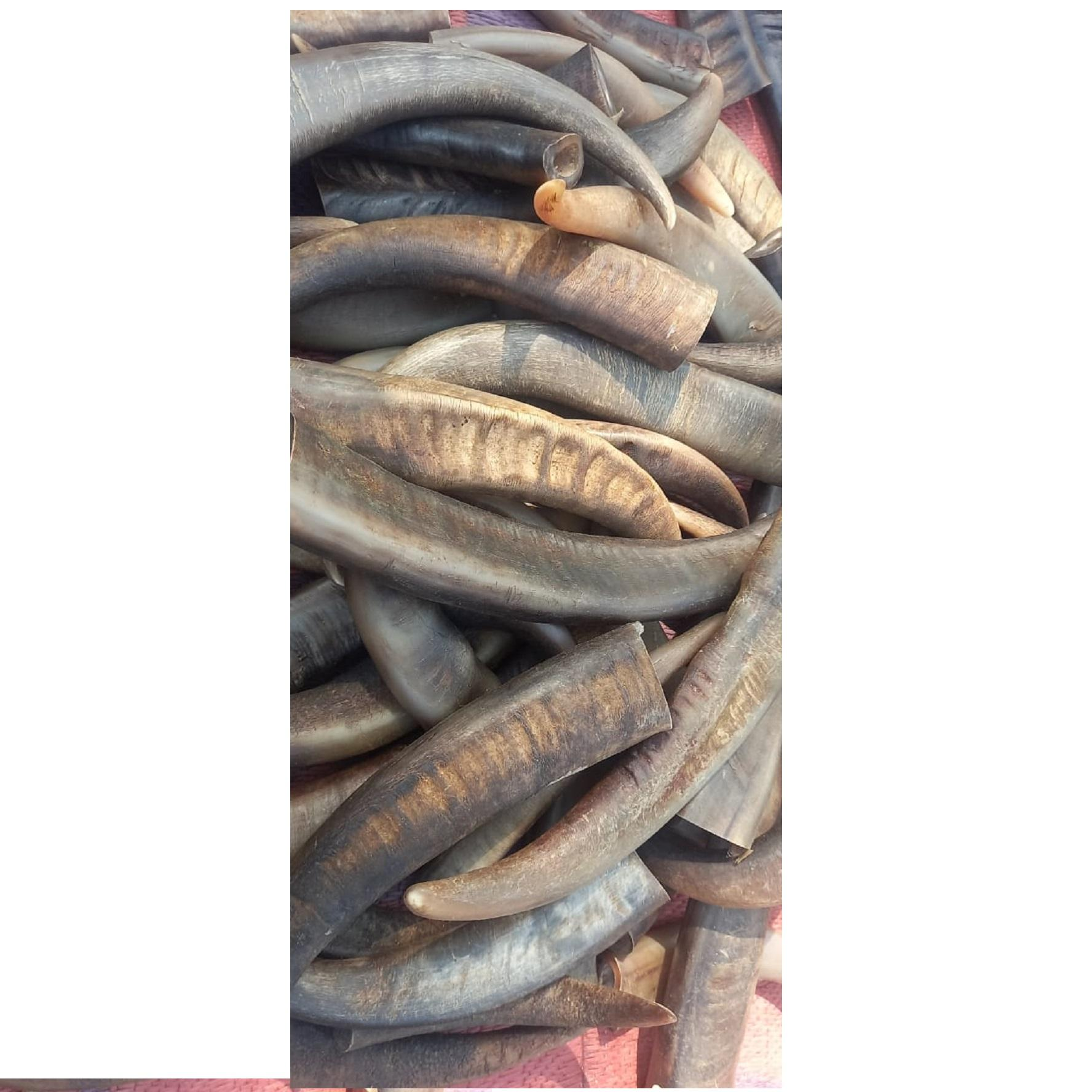 เช่นเดียวกับภาพ