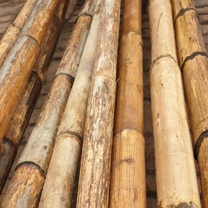 Canne de rotin naturel entière, branche brute, haute résistance, droite, sans fissures, qualité mobilier, pour artisanat et tressage, meilleur prix - Product Image 1