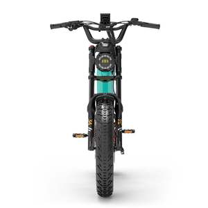 Vélo de montagne électrique à suspension intégrale Lankeleisi RX800 Plus 1000W 20' avec pneus larges, batterie 48V, capteur de couple, vélo électrique SUV pour adultes - Product Image 4