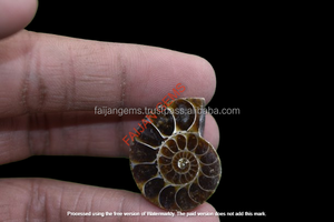 Cabujón de Amonita Marrón de Alta Calidad, Piedra Natural Suelta para Joyería, Precio al por Mayor para Fabricación de Joyas, FAIJAN GEMS Rajasthan - Product Image 3