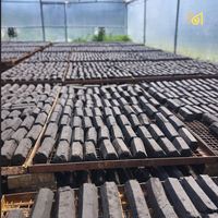 Suministros para Restaurantes Vitronexa, Briquetas de Carbón Vegetal Negro de Madera Dura, Forma Hexagonal, 5-7 Horas de Duración, Combustible Comercial para Barbacoa 5100-7500
