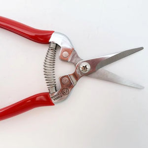 Ciseaux de cueillette de fruits juteux et frais - Product Image 1