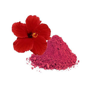 Proveedor de Polvo de Hibisco de Alta Calidad al por Mayor, Polvo de Hibisco 100% Natural y Puro que Ayuda a Mejorar la Salud del Corazón y la Sangre - Product Image 6