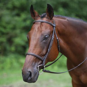 Bridon en cuir professionnel de haute qualité pour l'équitation en plein air, réglable, personnalisation acceptée - Product Image 4