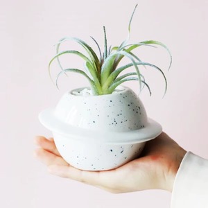 Jarrón de Cerámica Nórdico para Flores, Adorno para el Hogar, Elegante Jarrón de Porcelana con Diseño de Boca Ancha - Product Image 3