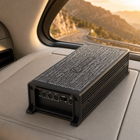 Amplificateur de voiture micro mono 600W classe D