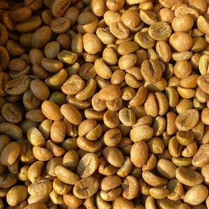 Grains de café frais Robusta, traitement naturel, taille 18, Vietnam, grains de café vert de ferme - Product Image 4