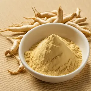 Polvo de Raíz de Ginseng Panax de Alta Calidad, Potenciador de Energía Herbal en Polvo para Cápsulas, Tabletas y Formulaciones para la Salud, Venta al Por Mayor OEM - Product Image 2