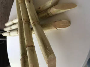 ขายร้อนปี 2024 จากน้ําตาลทรายแช่แข็งเวียดนามด้วยราคาที่แข่งขันได้ - Product Image 4