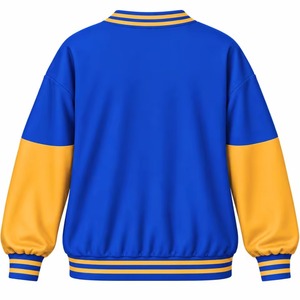 Sweat-shirt de la sororité Sigma Gamma Rho avec col rond et logo brodé, manches longues, bleu et or, sweat-shirt tendance pour femme - Product Image 6
