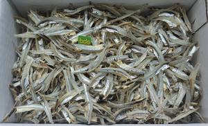 Anchois Séchés IQF de Haute Qualité en Vrac Écologiques – Meilleure Vente, Incontournable pour la Transformation Alimentaire, Soupe et Bouillon – Vente en Gros - Product Image 6