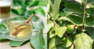 Té de Alcachofa Natural de Grado Alimenticio, Té de Hierbas de Hojas Sueltas Secas al Sol, Regalo y Empaque con Cierre, Proveedor OEM de Marca Privada, Vietnam - Product Image 5