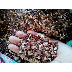 Vente en gros GIA GIA NGUYEN 8mm granulés de noix de cajou brutes Vietnam grande capacité en vrac pour le tannage du bois de noix de cajou - Product Image 5