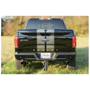 Ford Shelby F-150 SuperCrew 4x4 2017 - Product Image 4