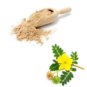 Extracto Natural de Tribulus Terrestris en Polvo, Saponinas 40% - Product Image 1