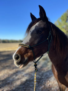 Correa trenzada al por mayor para equitación de sendero, proveedor de aparejos para caballos de alta resistencia - Product Image 3