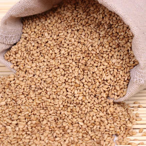 Semillas de Sésamo Blanco Tostadas de Grado Alimenticio para la Industria Alimentaria - Product Image 1