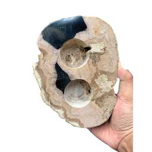 Portavelas de Madera Petrificada Natural Hecho a Mano, Portavelas de Piedra de Doble Orificio para Decoración del Hogar, Faroles de Madera y Frascos para Velas - Product Image 5