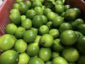 Citron vert frais sans pépins/citron vert: Les citrons à peau fine sont juteux et non amers lorsqu'ils sont mélangés à de l'eau chaude. Lima - Product Image 6