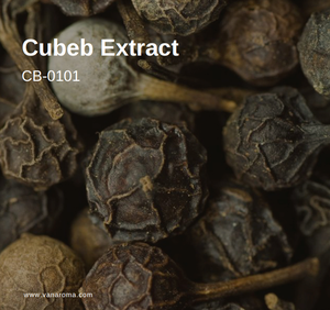 Extracto de CO2 de Pimienta Cubeba, Aceite Botánico Especiado de Alta Calidad (CB-0101), Aroma a Vainilla - Product Image 2