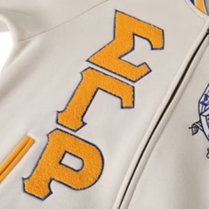 Veste universitaire en polaire neutre Sigma Gamma Rho, broderie chenille, vêtements de sororité grecque, vêtements pour femmes de qualité supérieure - Product Image 3