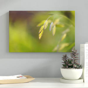 Cora Niele's Sea Oats Grass Wall Art Print Decoración botánica del artista - Product Image 1