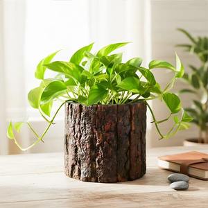 Pot de fleurs en métal durable, jardinière décorative, pot de plantes d'intérieur et d'extérieur pour jardin, balcon, terrasse, décoration de la maison - Product Image 1