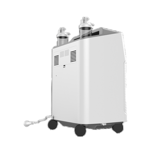 <span class=keywords><strong>DYNMED</strong></span> 5L Veterinaire Zuurstofconcentrator voor Honden, 93% Concentratie, <45dB Geluidsniveau, Competitieve Prijs - Product Image 6