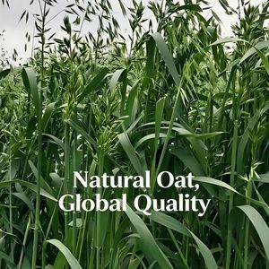Fiocchi d'Avena Biologici Sottovuoto per Freschezza, Ingrediente per Pasticceria, Cereale Integrale per Colazione, Alimento a Basso Contenuto di Grassi - Product Image 5