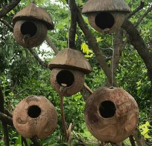 Casa para Pájaros de Cáscara de Coco Personalizada, Nido Natural para Pájaros de Jardín, Exteriores y Mascotas - Product Image 5