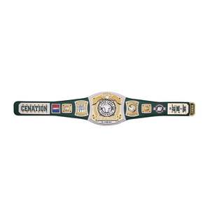 Cinturón de Campeonato Réplica Verde de John Cena para la Gira de Despedida SummerSlam 2025 - Product Image 2