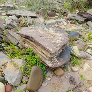 Piedras Naturales Modernas, Guijarros y Callosas para Paisajismo y Decoración de Ríos, Jardines, Hogares, Hoteles, Viveros y Uso Industrial - Product Image 5