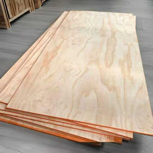 Contreplaqué de qualité supérieure du Vietnam, grade DD, avec revêtement phénolique, placage de bouleau, matériau de construction pour meubles, planche en bois - Product Image 4