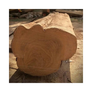ราคาพิเศษ ไม้สักแอฟริกันคุณภาพดีที่สุด ไม้สด ขายส่ง - Product Image 6