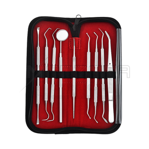 Juego de 9 Instrumentos Manuales de Titanio para Higiene Bucal, Estuche con Herramientas Dentales para Limpieza de Dientes y Encías, Removedor de Sarro, Cálculos y Placa, Quirúrgico - Product Image 4