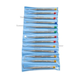 Nouvel ensemble allemand de 13 proximateurs/lève-dents d'extraction manuels en argent pour usage dentaire - Instruments dentaires de qualité supérieure certifiés CE - Product Image 1