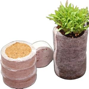 EMBALAJE CAJA DISCO COIR - Product Image 5