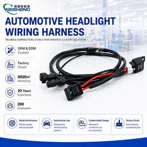중국산 전기차 헤드라이트 배선 하네스 12V/24V 방수 커넥터 40A 자동차 릴레이 블랙 도매 - Product Image 1