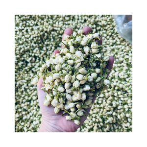 ชาดอกมะลิแห้งขายส่ง ชาใบมะลิหอม กลิ่นหอมธรรมชาติ จำหน่ายจำนวนมากสำหรับผู้นำเข้าและผู้จัดจำหน่าย - Product Image 5