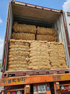 Bales de fibres de coco du Vietnam, substrat compressé naturel pour l'horticulture et le jardinage - Product Image 6