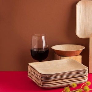 Assiettes carrées compostables en feuilles de palmier d'arec de qualité export, 7 pouces, pour événements, anniversaires, fêtes en plein air, traiteur et services alimentaires - Product Image 1