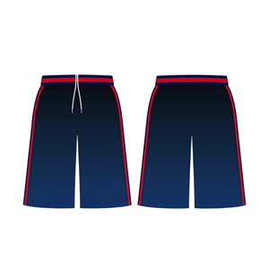 Pantalones Cortos de Baloncesto para Hombre con Logotipo Personalizado, de Secado Rápido, Transpirables, de Malla, para Gimnasio, Deportes, Entrenamiento Atlético y Running, Venta al Por Mayor - Product Image 1